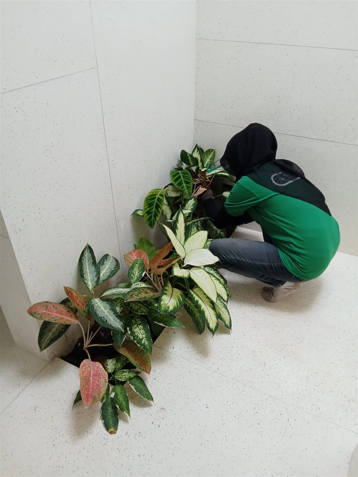 Garden Maintenance