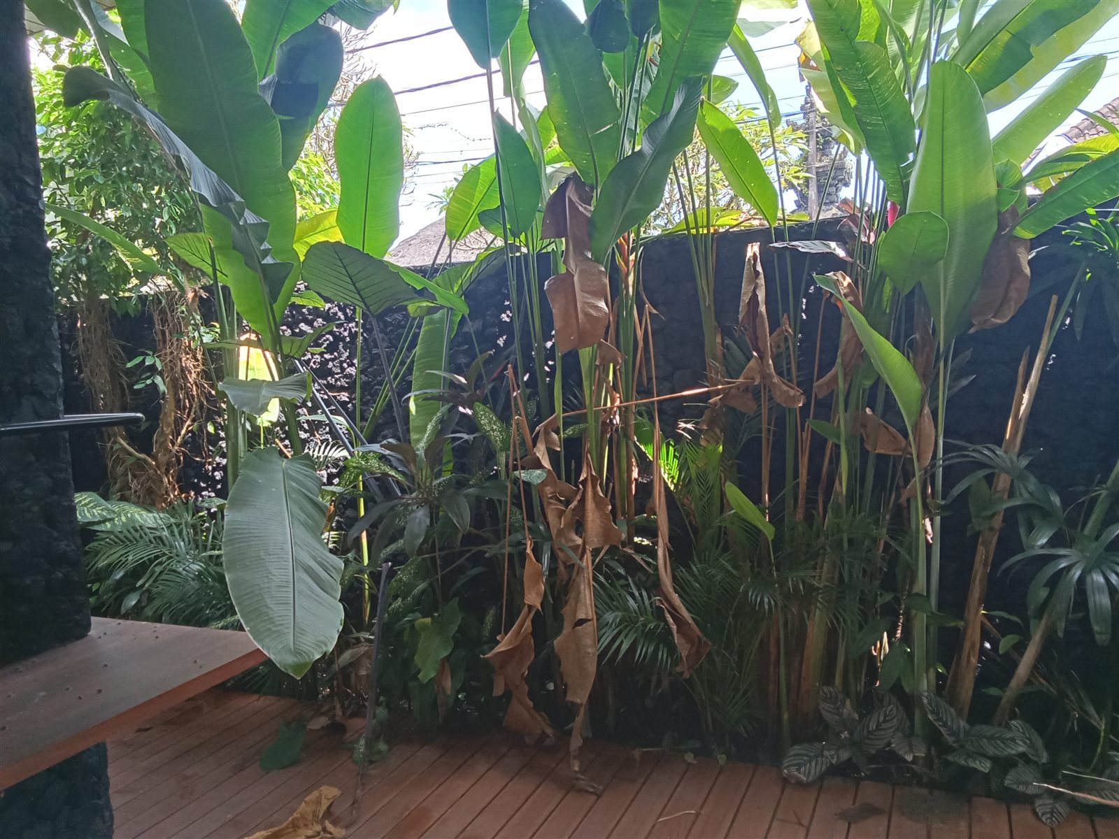 Garden Renovation